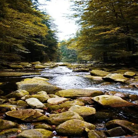 Tranquil North Bohemia Getaway 펜션 *