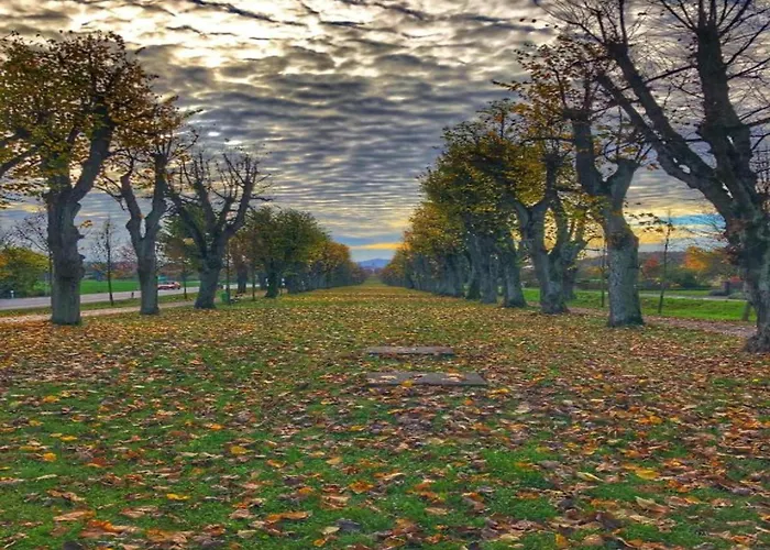 Tranquil North Bohemia Getaway * Prachov